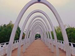 -大兴滨河森林公园