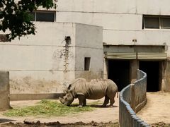 -深圳野生动物园