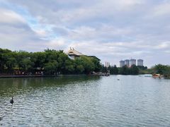 -五缘湾湿地公园