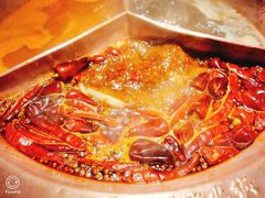 -锅说大脸毛肚重庆老火锅(佐阾店)