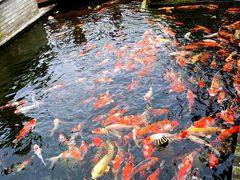 环境-顺德了能馆(虎门店)