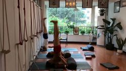 -成都阿难陀艾扬格瑜伽中心