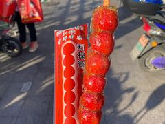-和禄德冰糖葫芦