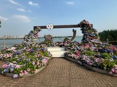 -无锡蠡湖国家湿地公园-蠡园