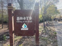 -上海海湾国家森林公园