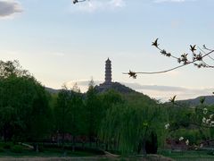 -北坞公园