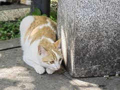 -敬亭山风景名胜区