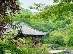 -杭州植物园