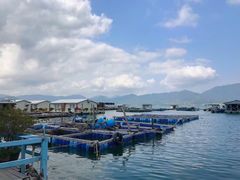 -西涌国际滨海旅游区