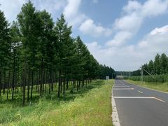 -塞罕坝国家级自然保护区