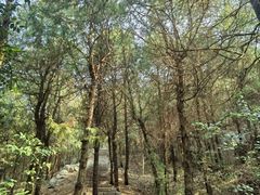 -云龙山