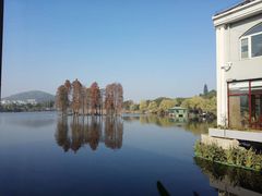 -东湖食堂·湖景餐厅•会议