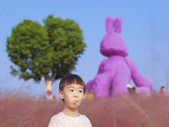 -阳澄湖半岛旅游度假区