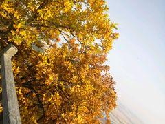 -帽儿山国家森林公园