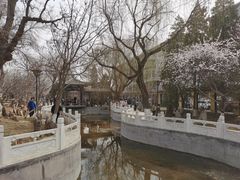 -桃花堤公园