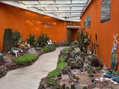 -正佳雨林生态植物园