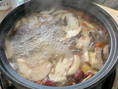 -蘑统田下·野生菌火锅