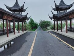 -泗洪洪泽湖湿地景区