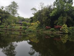 -邓小平故里