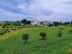 -紫颐香薰山谷景区