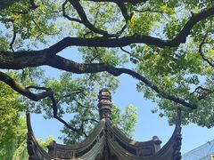 -豫园
