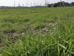 -嘉北郊野公园