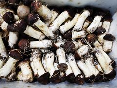 -锦绣大地生鲜食品厅