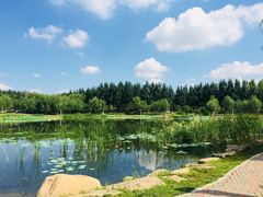 -吉林大学(前卫南区)