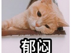 -赵伍面庄(松石大道店)