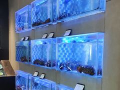 -映像威海·威海宴(威高广场店)