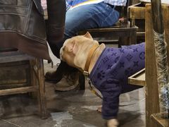 -肖肖酸萝卜鱼火锅(总店)