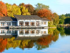 -上海共青森林公园