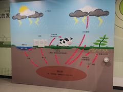 -山东省科技馆(新馆)