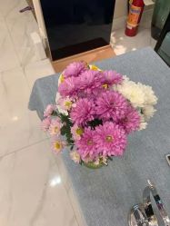 -静博士·养生养颜