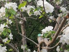 -元大都城垣遗址公园