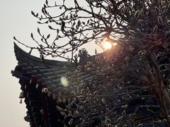 -西安市广仁寺