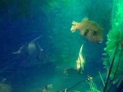 -青岛海底世界-水族馆