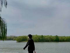 -丁香湖公园