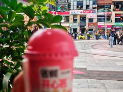 -一只酸奶牛(八一路店)