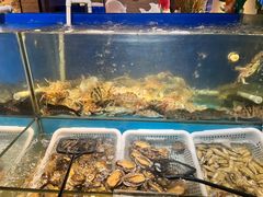 -悦鼎汇海鲜姿造