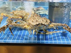 水产区-7fresh七鲜(大族广场店)