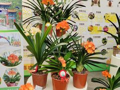 -北京植物园-展览温室