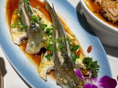 -33号大院·青岛本帮菜(五四广场店)