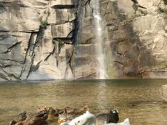 -黑龙潭风景区