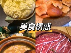 -季季山·云南野生菌火锅(上海首店)