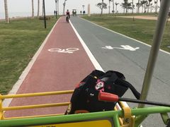 -野狸岛