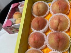 -南汇水蜜桃采摘(大团店)