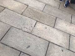 -青岛天主教堂(市南区)
