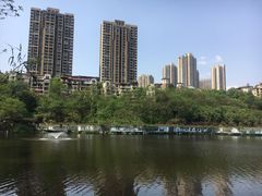 -重庆彩云湖湿地公园
