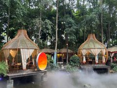 -二荆条·蜀鲜汇城市森林火锅